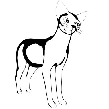 Beyaz arka planda kedi resmi. Sphynx siluet vektörü, evcil hayvan çizimi