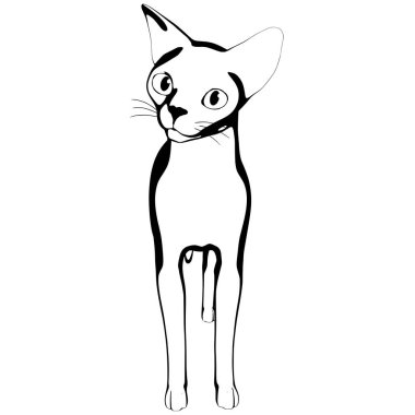Beyaz arka planda kedi resmi. Sphynx siluet vektörü, evcil hayvan çizimi