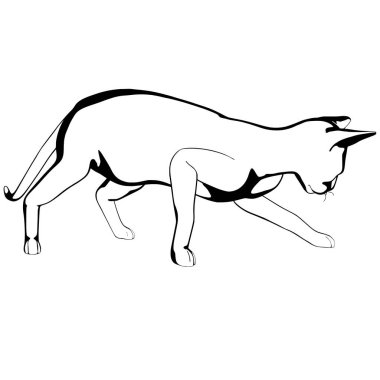 Beyaz arka planda kedi resmi. Sphynx siluet vektörü, evcil hayvan çizimi