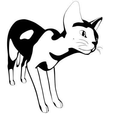 Beyaz arka planda kedi resmi. Sphynx siluet vektörü, evcil hayvan çizimi