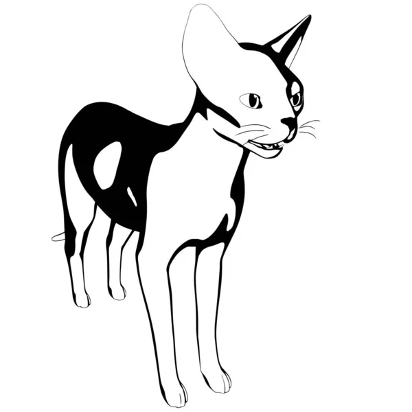 Desenho Gato Sobre Fundo Branco Sphynx Silhueta Vetor Ilustração Animal — Vetor de Stock