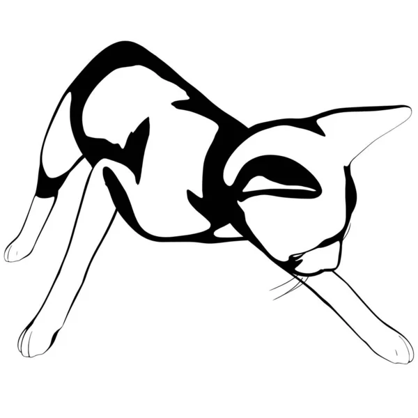 Croquis Chat Sur Fond Blanc Sphynx Silhouette Vecteur Illustration Pour — Image vectorielle