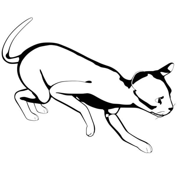 배경에 고양이 스케치 Sphynx Silhouette Vector Pet Illustration — 스톡 벡터