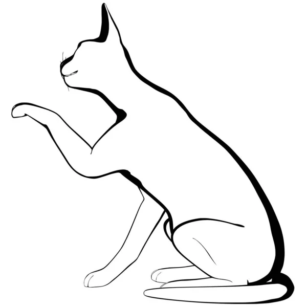 Croquis Chat Sur Fond Blanc Sphynx Silhouette Vecteur Illustration Pour — Image vectorielle