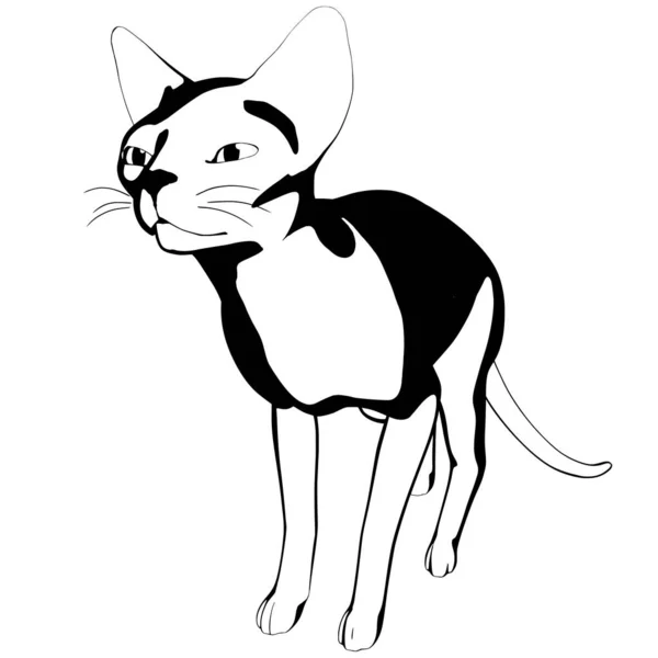 Desenho Gato Sobre Fundo Branco Sphynx Silhueta Vetor Ilustração Animal —  Vetores de Stock