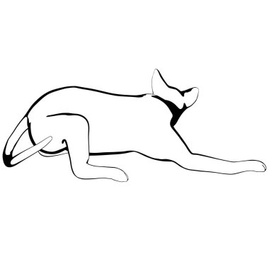 Beyaz arka planda kedi resmi. Sphynx siluet vektörü, evcil hayvan çizimi