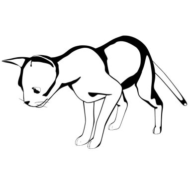 Beyaz arka planda kedi resmi. Sphynx siluet vektörü, evcil hayvan çizimi