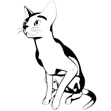 Beyaz arka planda kedi resmi. Sphynx siluet vektörü, evcil hayvan çizimi