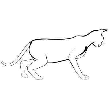 Beyaz arka planda kedi resmi. Sphynx siluet vektörü, evcil hayvan çizimi