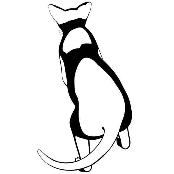 배경에 고양이 스케치 Sphynx Silhouette Vector Pet Illustration — 스톡 벡터