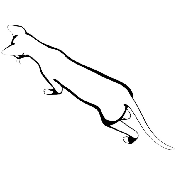 Esbozo Gato Sobre Fondo Blanco Esfinge Silueta Vector Mascota Ilustración — Archivo Imágenes Vectoriales