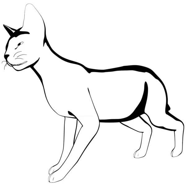 Desenho Gato Sobre Fundo Branco Sphynx Silhueta Vetor Ilustração Animal — Vetor de Stock