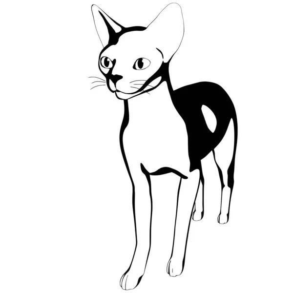 Katzenskizze Auf Weißem Hintergrund Sphynx Silhouette Vektor Haustier Illustration — Stockvektor