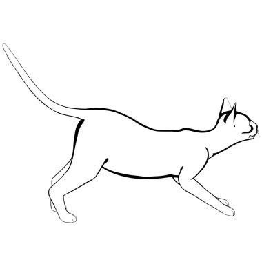 Beyaz arka planda kedi resmi. Sphynx siluet vektörü, evcil hayvan çizimi