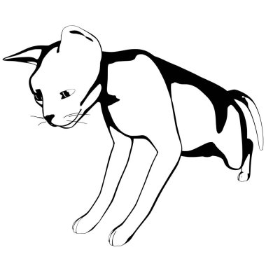 Beyaz arka planda kedi resmi. Sphynx siluet vektörü, evcil hayvan çizimi