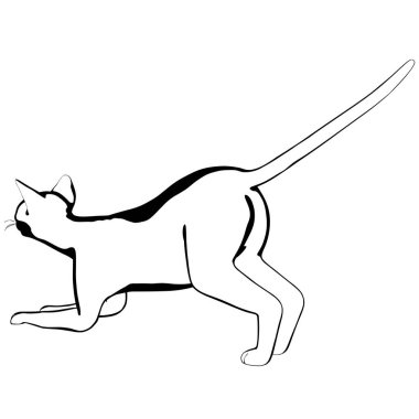 Beyaz arka planda kedi resmi. Sphynx siluet vektörü, evcil hayvan çizimi