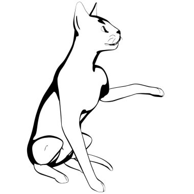 Beyaz arka planda kedi resmi. Sphynx siluet vektörü, evcil hayvan çizimi