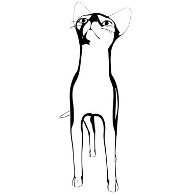 Beyaz arka planda kedi resmi. Sphynx siluet vektörü, evcil hayvan çizimi