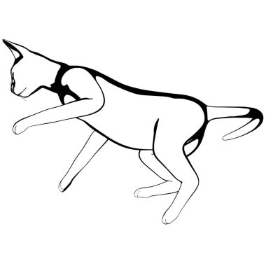 Beyaz arka planda kedi resmi. Sphynx siluet vektörü, evcil hayvan çizimi