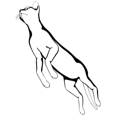 Beyaz arka planda kedi resmi. Sphynx siluet vektörü, evcil hayvan çizimi