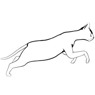 Beyaz arka planda kedi resmi. Sphynx siluet vektörü, evcil hayvan çizimi