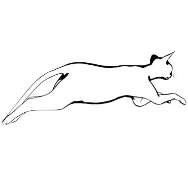 Beyaz arka planda kedi resmi. Sphynx siluet vektörü, evcil hayvan çizimi