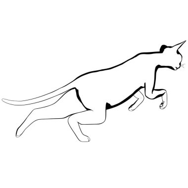 Beyaz arka planda kedi resmi. Sphynx siluet vektörü, evcil hayvan çizimi