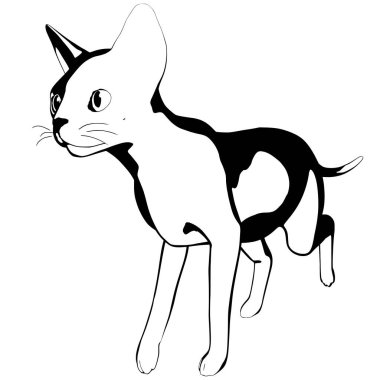 Beyaz arka planda kedi resmi. Sphynx siluet vektörü, evcil hayvan çizimi