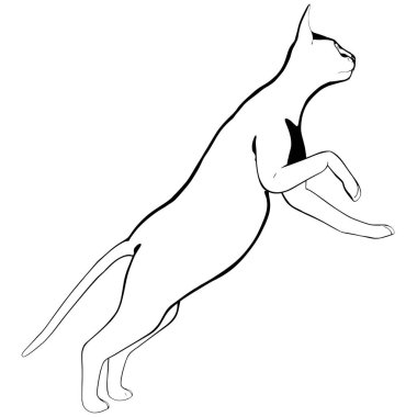 Beyaz arka planda kedi resmi. Sphynx siluet vektörü, evcil hayvan çizimi