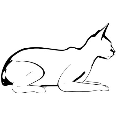 Beyaz arka planda kedi resmi. Sphynx siluet vektörü, evcil hayvan çizimi