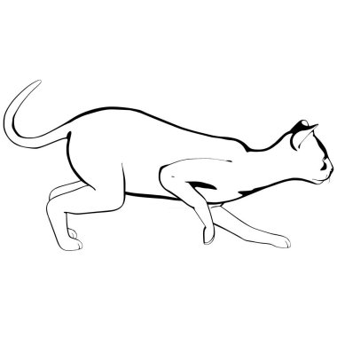 Beyaz arka planda kedi resmi. Sphynx siluet vektörü, evcil hayvan çizimi