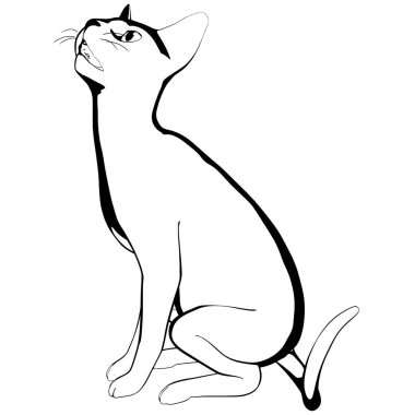 Beyaz arka planda kedi resmi. Sphynx siluet vektörü, evcil hayvan çizimi