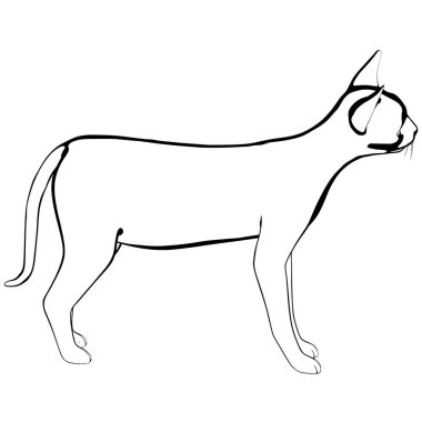 Beyaz arka planda kedi resmi. Sphynx siluet vektörü, evcil hayvan çizimi