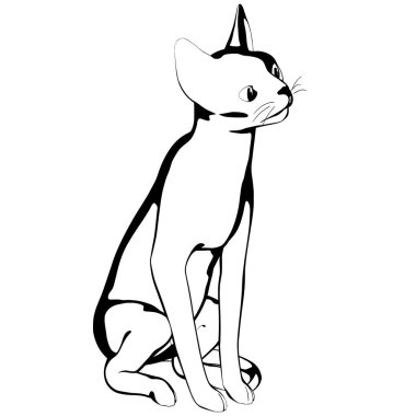 Beyaz arka planda kedi resmi. Sphynx siluet vektörü, evcil hayvan çizimi
