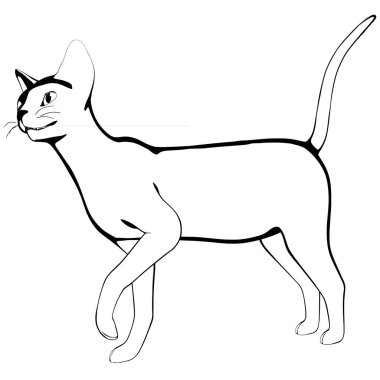 Beyaz arka planda kedi resmi. Sphynx siluet vektörü, evcil hayvan çizimi