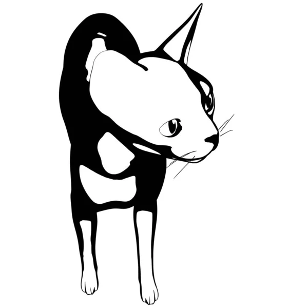 배경에 고양이 스케치 Sphynx Silhouette Vector Pet Illustration — 스톡 벡터