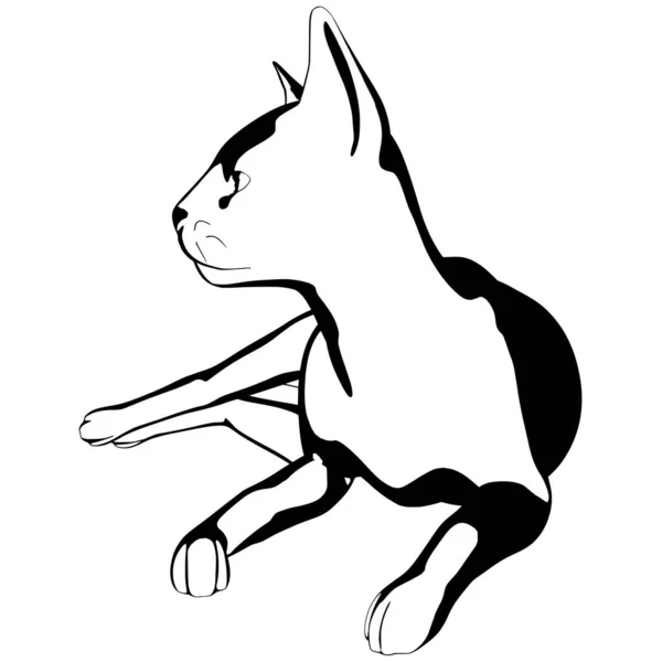 Katzenskizze Auf Weißem Hintergrund Sphynx Silhouette Vektor Haustier Illustration — Stockvektor