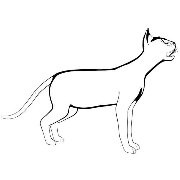 Schizzo Gatto Sfondo Bianco Sphynx Silhouette Vector Illustrazione Animale Domestico — Vettoriale Stock