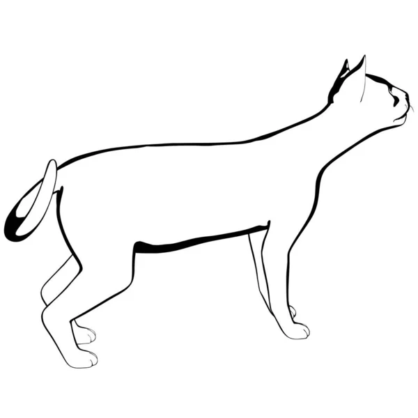 Desenho Gato Sobre Fundo Branco Sphynx Silhueta Vetor Ilustração Animal — Vetor de Stock