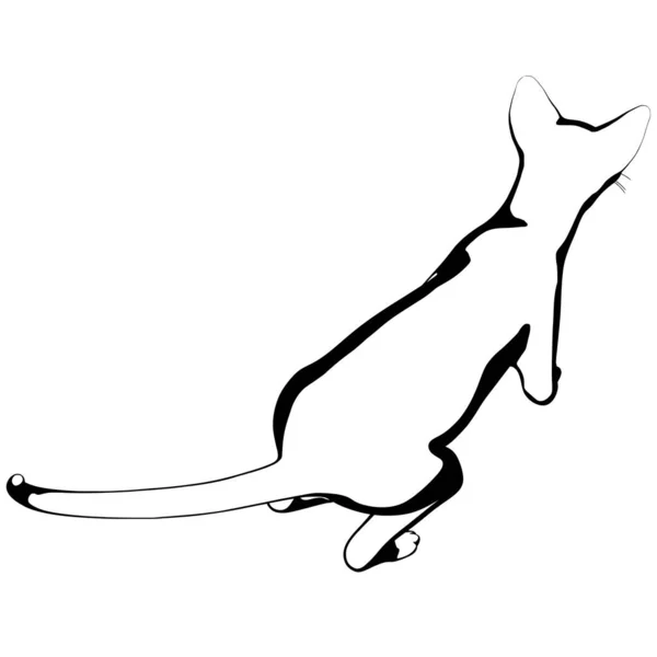 Kattenschets Een Witte Achtergrond Sphynx Silhouet Vector Huisdier Illustratie — Stockvector