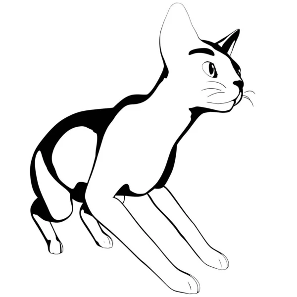 Esbozo Gato Sobre Fondo Blanco Esfinge Silueta Vector Mascota Ilustración — Vector de stock