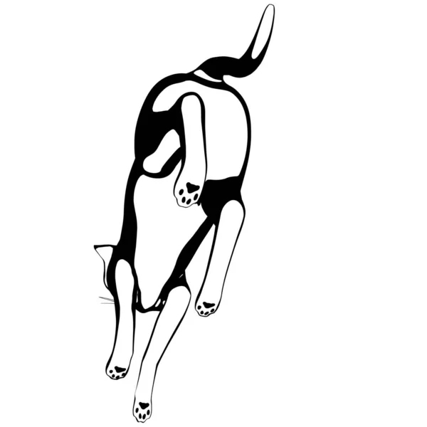 Desenho Gato Sobre Fundo Branco Sphynx Silhueta Vetor Ilustração Animal — Vetor de Stock