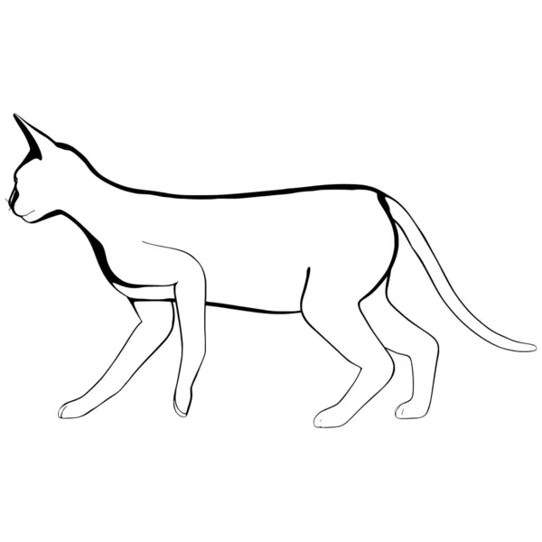 Katzenskizze Auf Weißem Hintergrund Sphynx Silhouette Vektor Haustier Illustration — Stockvektor