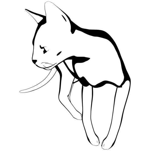 배경에 고양이 스케치 Sphynx Silhouette Vector Pet Illustration — 스톡 벡터