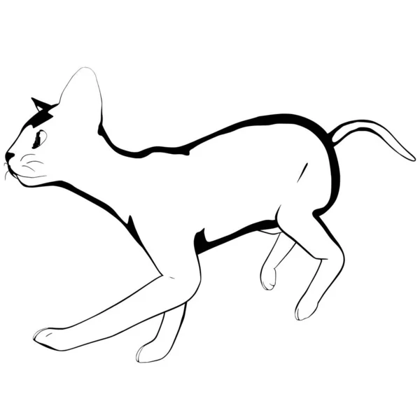 Katzenskizze Auf Weißem Hintergrund Sphynx Silhouette Vektor Haustier Illustration — Stockvektor