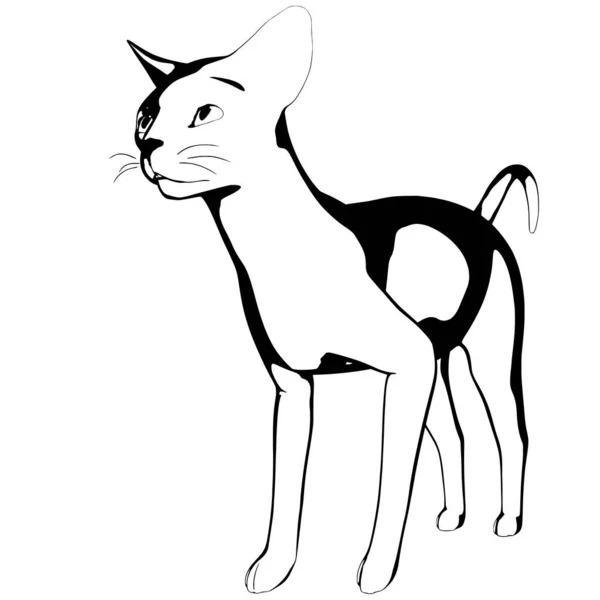 배경에 고양이 스케치 Sphynx Silhouette Vector Pet Illustration — 스톡 벡터