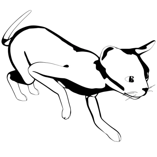 Croquis Chat Sur Fond Blanc Sphynx Silhouette Vecteur Illustration Pour — Image vectorielle