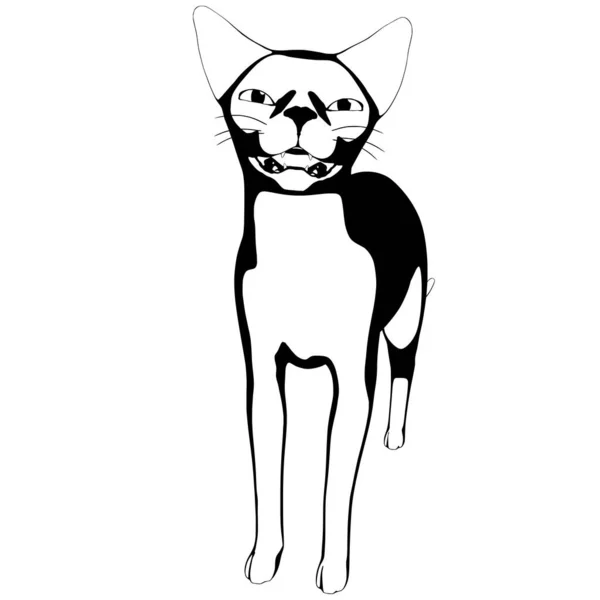 Croquis Chat Sur Fond Blanc Sphynx Silhouette Vecteur Illustration Pour — Image vectorielle