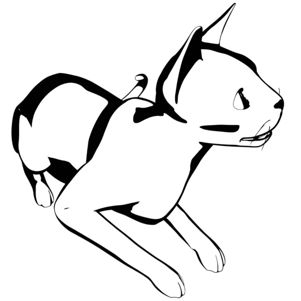 Katzenskizze Auf Weißem Hintergrund Sphynx Silhouette Vektor Haustier Illustration — Stockvektor