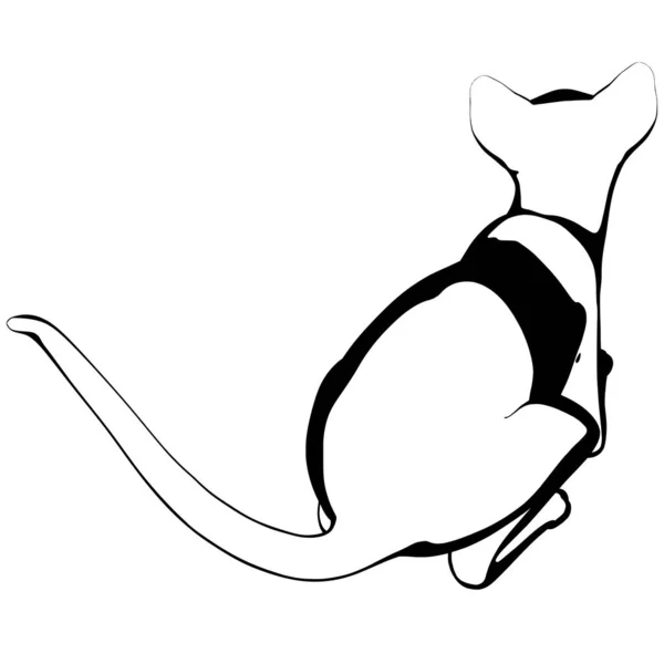 Esbozo Gato Sobre Fondo Blanco Esfinge Silueta Vector Mascota Ilustración — Vector de stock